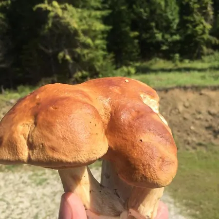 Bacówka * Szlembark